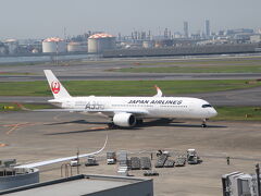 展望デッキで、飛行機撮影タイム。
羽田のお楽しみは、A350が数多く見られること。
今から乗るのも、これと同じ機種。