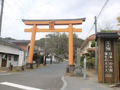 鹿児島市内を後にして、まずは蒲生八幡神社にある大クスを見に行きました。