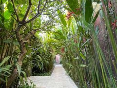 3日目。
気持ちのいい朝です。

朝食たべに行こう。