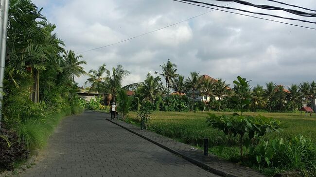 姉が帰ってくるまでビスマ通りを散歩<br /><br />昨日出したランドリーの少し先に違うランドリーがあるので今日はそちらに洗濯物を出しに行きます。