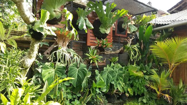 民間の庭のような場所を通り抜けて行きます。