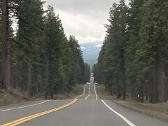 今日は急遽Lassen Volcanic National Parkへ行くことになった。往復２時間の道のり。山のほうへどんどん上っていき、気温もどんどん下がっていく。