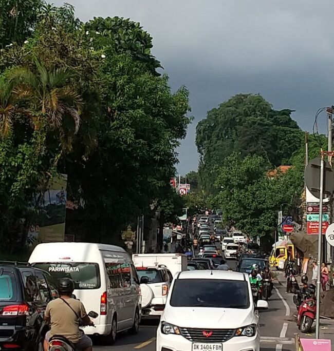 １５時すぎ<br />ウブドは大渋滞<br />写真を撮った場所はラヤウブド通りからジェンバワン通りに入るあたり<br />この先のアンドンの交差点の方まで繋がっているようでした。<br /><br />１日観光などでウブドに来られる方は<br />時間に余裕を持ってきたほうが良いかもしれません。