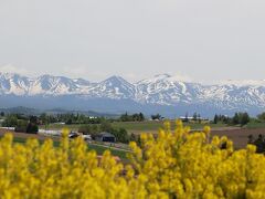 農家の皆さんは病虫害駆除のために田の「あぜ」や畑周辺・道路際まで草刈りをしてきれいにするのですが、まだ、刈っていなくかろうじて咲いていた春先ヤマガラシを見つけたので、ここから連峰の山を背景に撮ってみました。