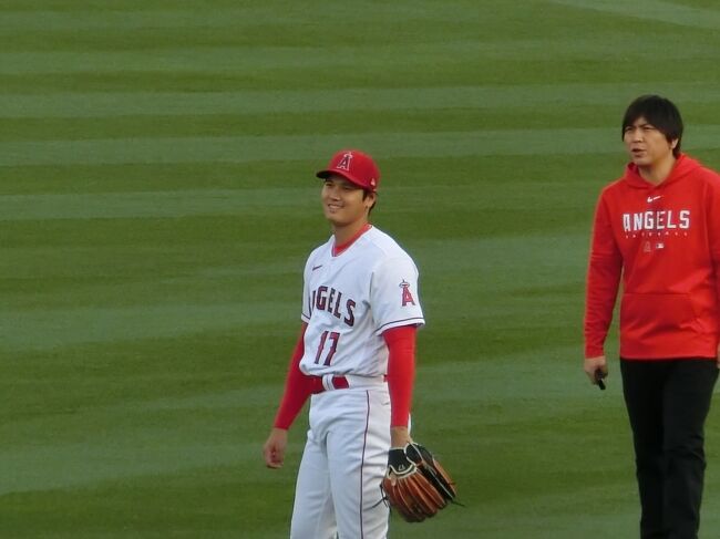 30日までSALE】大谷翔平 ハイライトフォト他 日ハム時代 57枚セット
