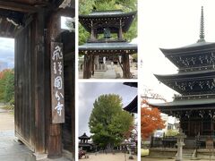 三重塔は1615年に再建、1791年に暴風雨で倒壊し、1820年に再建されたのが、現在の塔のようです。

塔の前に立つ大イチョウは、推定樹齢1,250年、幹周10m　高さ37mで、「乳イチョウ」と呼ばれています。