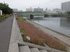勝島運河沿いのしながわ花海道の一端，　

橋は海岸通り．鮫洲運転免許試験場はこの先になる．