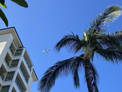 コオリナに宿泊していると、上空に飛行機が飛んでいて、どこのエアラインかなとよく空を見上げていました。
JALは機体が白いので、よくわからなかったのですが、ANAのホヌはすぐにわかって写真をパシャリ！よく撮れた！！
