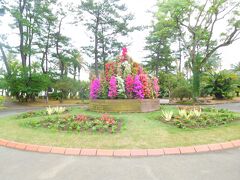 宮交ボタニカル・ガーデン・アオシマへ
青島亜熱帯植物園 入園無料です