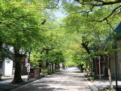 揖斐川町への旅、まずは谷汲山華厳寺に訪れます。約1kmほどつづくこの門前町には桜とモミジが植えられているようです。新緑の時期もいいですが、桜が満開の頃と紅葉の頃、それぞれの季節にまた来てみようかな。