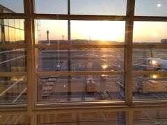 往きはLCCのピーチ羽田05:55発

終電で羽田に到着
空港内のベンチで仮眠を取って
いざ飛行機に乗るころには陽が昇ってきました。