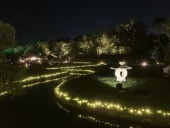 岡山後楽園 夜間特別開園「夏の幻想庭園」