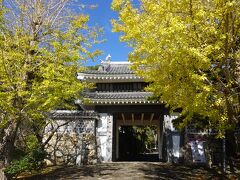 田原城の玄関とも言うべき「桜門」は近年復元された新しい門です。私たちが足を運んだ時は、周囲のイチョウが紅葉しており、雨上がりの澄んだ青空とともに、桜門の姿を引き立てているように感じました。