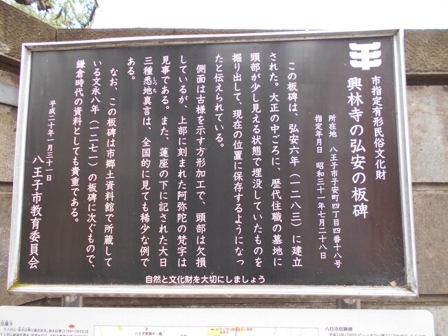 八高線 2024.03.25 | 還暦からの乗り鉄日記