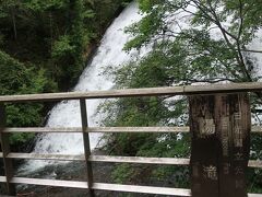 小滝の先をさらに歩いて行くと湯滝です。

奥日光三名瀑3つ制覇していました。奥日光三名瀑はあとから知りました。