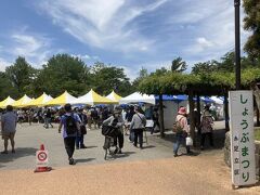 王子から電車を乗り継いで、北綾瀬駅へ。駅の近くのしょうぶ沼公園。
しょうぶ祭りが開催中で、人がいっぱい。