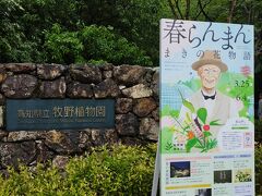 2日目も雨です。旅行を計画した当初、2日目は仁淀川に行くつもりだったのですが悪天候のため断念。朝ドラらんまんで人気急上昇の牧野植物園へ向かいます。MY遊バスでやって来ました。