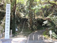 10:42　24番札所 最御崎寺（ほつみさきじ）（高知県室戸市室戸岬町）
真言宗 豊山派、室戸山 明星院。

「修行の道場」とされる土佐（高知県）最初の霊場。
室戸岬山の上にあって、金剛頂寺の西寺に対して、東寺（ひがしでら）とも呼ばれるそうです。

駐車場から、石段（宿坊）か、坂道（仁王門、室戸岬灯台）を上ります。仁王門経由にしました。