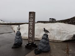 室堂に到着し、雪の大谷へ