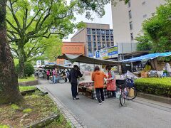 最終日。帰りの便が早いのであまり観光の時間はありません。ホテルの朝食を済ませ、朝のお散歩へ。
高知の街中で行われる日曜市が有名ですが、今回私達は火水木の旅行だったので、木曜市に行く事ができました。