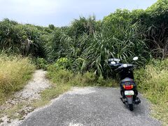 浦野墓地群を抜けてしばらく行くと、こちらも前回訪れていますが六畳ビーチの入口です。