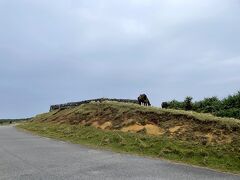 東崎（あがりさき）に立ち寄りましたが、テキサスゲートを抜けてすぐの場所に前回スルーしてしまったダテイクチデイがあります。国の重要史跡で、沖合の船を監視する拝所と火番小屋が置かれた場所だそうです。