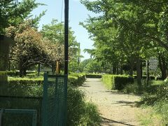 小合溜の埼玉県側は県営みさと公園という公園です。
水元公園に比べて敷地は小さいですがそれでも巨大な公園でした。