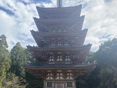 京都駅で両親と合流しホテルに荷物を預け、
バスで醍醐寺まで。醍醐寺ラインで1本なんだけど、
バス停のある京阪ホテルが少し遠かった&#128517;
京都駅はインバウンドが戻ってきてて懐かしい感じだったな。