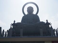 ●高岡大仏

残念ながら逆光で…。
日本三大仏の一つとも言われます…（諸説あり）。
越中三大仏のひとつでもあり、他に、小杉大仏、庄川大仏があるそうです。