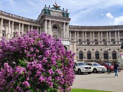 荷物置いて更に散策。
ホーフブルク宮殿。５月はお花が綺麗だからいいよねー。