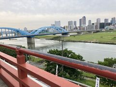 この場所が浅間神社の見どころです。
高台にあるので最高の見晴らし。。

向こうに武蔵小杉のタワマン群が見えます。
