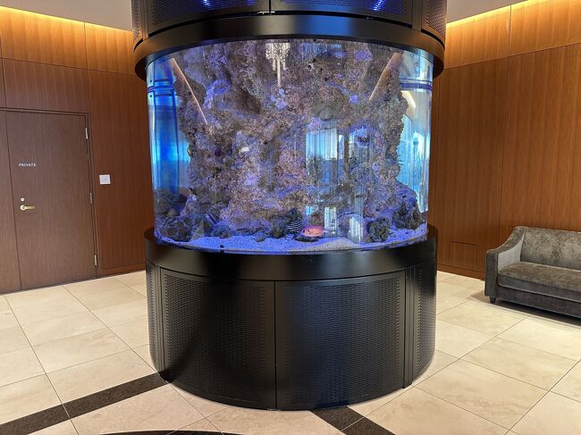 豪華６０cmガラス水槽　流れる滝　フルセット アクアリウム】60センチ水槽で作る滝の流れる水草レイアウト水槽
