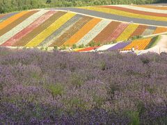 四季彩の丘。やっぱり実物は写真で見るより数段美しかったです。