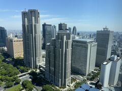 東京・西新宿『Park Hyatt Tokyo』41F

『パーク ハイアット 東京』の【ピーク ラウンジ】からの眺望（北側）
の写真。

『東京都庁』やホテル『ハイアット リージェンシー 東京』、
『新宿ワシントンホテル』、『ホテル グルーヴ 新宿』と
ホテル『ベルスタートウキョウ』の入る『東急歌舞伎町タワー』も
見えます。

最近載せたハイアット系のホテル↓

<『ハイアット リージェンシー 東京ベイ』宿泊記 ① 無料シャトルバス
【すし絵馬】【鉄板焼 富貴亭】【ガーデンバー】【フィットネスジム】
クラブラウンジ【リージェンシークラブ】のティータイム＆
イブニングカクテルでアルコールを♪>

https://4travel.jp/travelogue/11820530

<『ハイアット リージェンシー 東京ベイ』宿泊記 ② 最も広い
最上位スイートルーム「エグゼクティブ オーシャンビューテラス
スイート」にアップグレード♪眺望は東京湾★グローバリスト会員>

https://4travel.jp/travelogue/11833040

<『ハイアット リージェンシー 東京ベイ』宿泊記 ③ 朝食ブッフェ
【ザ ガーデン ブラッスリー&バー】クラブラウンジ【リージェンシー
クラブラウンジ】無料シャトルバスで『東京ディズニーランド』>

https://4travel.jp/travelogue/11833662

<六本木『グランド ハイアット 東京』宿泊記 ① クラブラウンジ
【グランド クラブ ラウンジ】でのアフタヌーンティー★
『六本木ヒルズ』「Tiffany」のカフェ【ティファニーカフェ】>

https://4travel.jp/travelogue/11815687

<六本木『グランド ハイアット 東京』宿泊記 ② グローバリスト
（ダイヤモンド）メンバー★コーナーにある「クラブプレミアムキング」
に無料アップグレード♪低層階で眺望が壁ビューの場合もあり>

https://4travel.jp/travelogue/11818199

<六本木『グランド ハイアット 東京』宿泊記 ③ クラブラウンジ
【グランド クラブ ラウンジ】のイブニングカクテルでシャンパン＆
ワイン＆クラフトビール♪テラスからライトアップした東京タワーを！>

https://4travel.jp/travelogue/11821052

<六本木『グランド ハイアット 東京』宿泊記 ④
【NAGOMI（ナゴミ）スパ アンド フィットネス】のプール、
ジェットバス、ジム、サウナやお風呂のある温浴施設、
マッサージマシンやフード＆ドリンクのあるリラクゼーションエリア>

https://4travel.jp/travelogue/11822087

<六本木『グランド ハイアット 東京』宿泊記 ⑤ クラブラウンジ
【グランド クラブ ラウンジ】の和洋食朝食ブッフェ＆
アフタヌーンティー★高級中国料理【チャイナルーム】の
オーダー式ランチブッフェ★【シナボン／シアトルズベストコーヒー】
六本木店★ニューヨーク発のハンバーガー店【シェイクシャック】
六本木店>

https://4travel.jp/travelogue/11822111

<ハイアット系列『富士スピードウェイホテル, アンバウンド
コレクション by Hyatt（バイ ハイアット）』宿泊記 ① ホテル初の
アフタヌーンティーを【TROFEO Lounge（トロフェオ ラウンジ）】の
テラスでいただきます♪イタリアンレストラン【TROFEO Italian
（トロフェオ イタリアン）】炉端ダイニング【Robata OYAMA
（ロバタ オヤマ）】特急ロマンスカー「ふじさん3号」＆御殿場駅から
無料送迎シャトルバス>

https://4travel.jp/travelogue/11824116

<ハイアット系列『富士スピードウェイホテル, アンバウンド
コレクション by Hyatt（バイ ハイアット）』宿泊記 ②
「World of Hyatt（ワールド オブ ハイアット）」の
グローバリストメンバーの恩恵により最上位スイートルームの
「富士山ビュー GPコーナースイート キング（91㎡）」に
無料アップグレード>

https://4travel.jp/travelogue/11825615

<ハイアット系『富士スピードウェイホテル』宿泊記 ③ スイートルーム
ルームサービスメニュー【BAR 4563】【Omikaウェルネス＆スパ】
レーシングシミュレーターで遊ぶ♪ジム＆プール★サウナのある
温泉浴場>

https://4travel.jp/travelogue/11840777

<ハイアット系『富士スピードウェイホテル』宿泊記 ④ イタリアン
レストラン【TROFEO イタリアン】のテラスでオシャレな朝食♪
キャラメルパンケーキ＆アボカドトースト＆BLTシューエッグベネ>

https://4travel.jp/travelogue/11849627

<ハイアット系『富士スピードウェイホテル, アンバウンド
コレクション by Hyatt』宿泊記 ⑤ お次は「サーキットビュー
GPコーナースイート ツイン（91㎡）」のお部屋のご紹介★眺望★
『御殿場プレミアム アウトレット』でお買い物♪>

https://4travel.jp/travelogue/11852472

こちらは2023年12月6日に開業した『ホテル虎ノ門ヒルズ 
アンバウンド コレクション by Hyatt』↓

<ハイアット系『ホテル虎ノ門ヒルズ』宿泊記
『虎ノ門ヒルズステーションタワー』内のオールデイダイニング
【THE GRILL TORANOMON】、ベーカリーレストラン
【flour+water】、カフェ【Espresso D Works】、
スペインバル【Bar Espanol PICAR】、
ミシュランシェフが手がけるカジュアルフレンチ【Lien】>

https://4travel.jp/travelogue/11880743

スイートルーム宿泊記は作成中です。