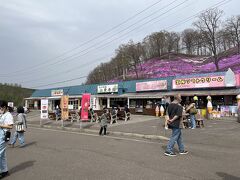 ついにやってまいりました。

芝桜公園よ！

駐車場で隣に停まっていた高知ナンバーのキャンピングカーご夫婦と仲良くなり
しばし談笑。
こういう交流、大好き！