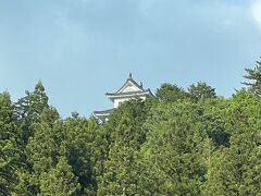 高山を後に
日本に来てから各地の城を巡っていたふたり

郡上八幡城に寄り道してみました
森林に囲まれてここからじゃ見えん！