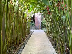 5日目です。
バリ島最後の朝。

毎日いいお天気でよかった。