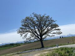 10時42分
ここにも駐車場あったよ
観光客ぼちぼち