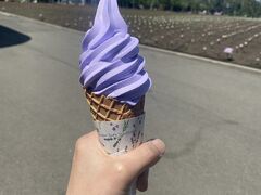 ラベンダーソフトでしょ。やっぱり。
北海道のソフトクリームって安い。高くて400円くらい
新鮮な牛乳沢山あるし消費する為かな？
美味しければ何でも良い。
ラベンダーって匂いはわかりやすいけど、
味って、、、なんて表現があうんだろう？だけど、濃厚で美味しかったです。
修学旅行生から外国人観光客まで、人人人で溢れていました。ラベンダー畑満開にはまだまだの季節なのに、、、
ファーム富田すご。

次に立ち寄った
フラノファームでは、ふらのチップス140円に飛びつき5個買う。野菜も新鮮で安い。近所に欲しいよ。

長い期間旅すると、生物や冷凍が買えない不便。それに最後の1泊は東京だし。絶対に無理だから、札幌の市場で買って空輸しようって決めてるよん。冷凍物をね。
普通のお土産は、段ボールが一杯になり次第送るって決めてる。2日目にしてかなり買ってる。ポテトチップスかさばるし。先が怖いんだけど。

そろそろ富良野ともお別れ。見たいとこまだまだあるけど次回にしましょ

いざ下道でゆーっくり行こうと計画していた私
夫「高速で行こう」だと、、、何故かは？幸福駅のコメントに書きます。
naviとGoogleマップで検証した結果

幸福駅の切符の販売時間に間に合わす為、南富良野経由を避けて高速道路経由で行く事になりました