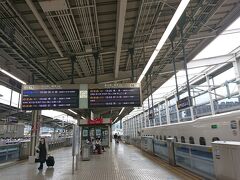 さて京都。
久しぶりの古都は雨だった。

おや、思いがけず人が少ない。
まあ、時間が時間だからねえ。

ところで、いつもは新横浜→京都・大阪を移動することが多いのですが、
今回は、東京→京都
宿泊は大阪
帰りは京都→新横浜と移動。

Webで新幹線とホテルのセット切符を買う場合、乗車駅と帰りの降車駅が同一でなくてはならない、
ホテルは新幹線の降車駅と同一でなくてはならない、等々制約が多い。
知る限り唯一制約がないのがJTB。
今回はこの旅行記の行程で￥30,000ぽっきり。(京都・大阪内の私鉄は別)