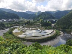 あらぎ島の、棚田。前からずっと行きたかった場所です、