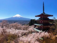 外国人がSNSにアップし、それがきっかけとなり外国の旅行雑誌の表紙を飾るなどして有名になった逆輸入版日本の名所とも言うべき新倉浅間神社。
　富士山＋五重塔＋桜
というThis is Japanという名所が全て詰まった場所。