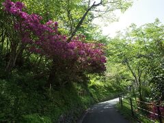 城の山腹は、牧野公園として整備されています。
1616年の一国一城令に伴い、佐川城は破棄され、城の東側の土居と呼ばれる屋敷に移りました。