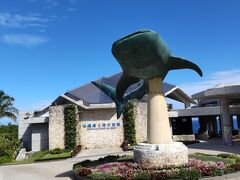 美ら海水族館