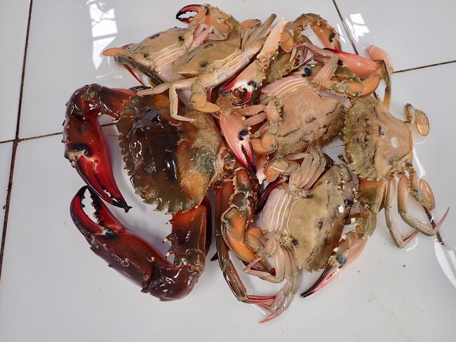 大きなカニが売られていました。