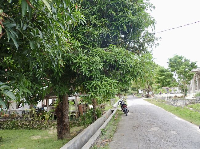 市場を出て、宿に帰ります。