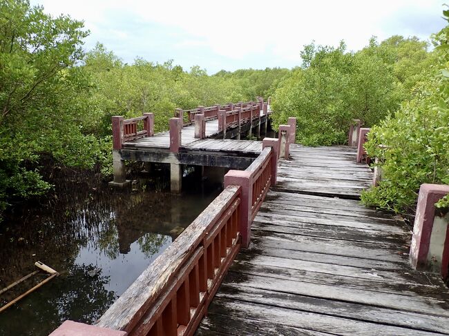 この様な感じに壊れていました。