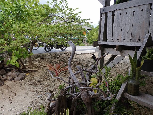 13:45<br />昼食を食べに外に出ます。