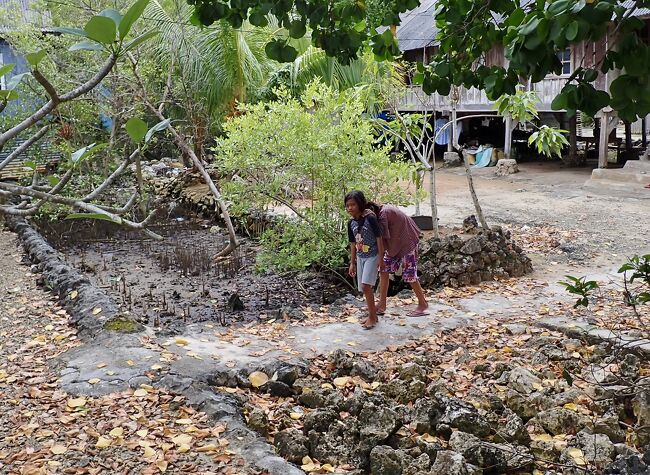 ケレドゥパ島の女の子。<br />(掲載許可承諾済)