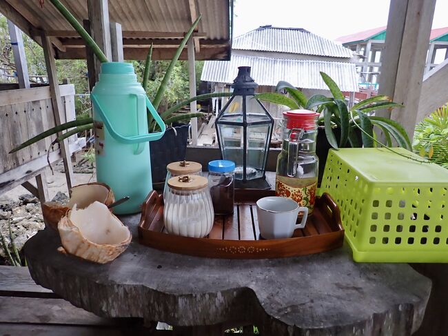 美味しいヤシの実、ありがとう御座います。